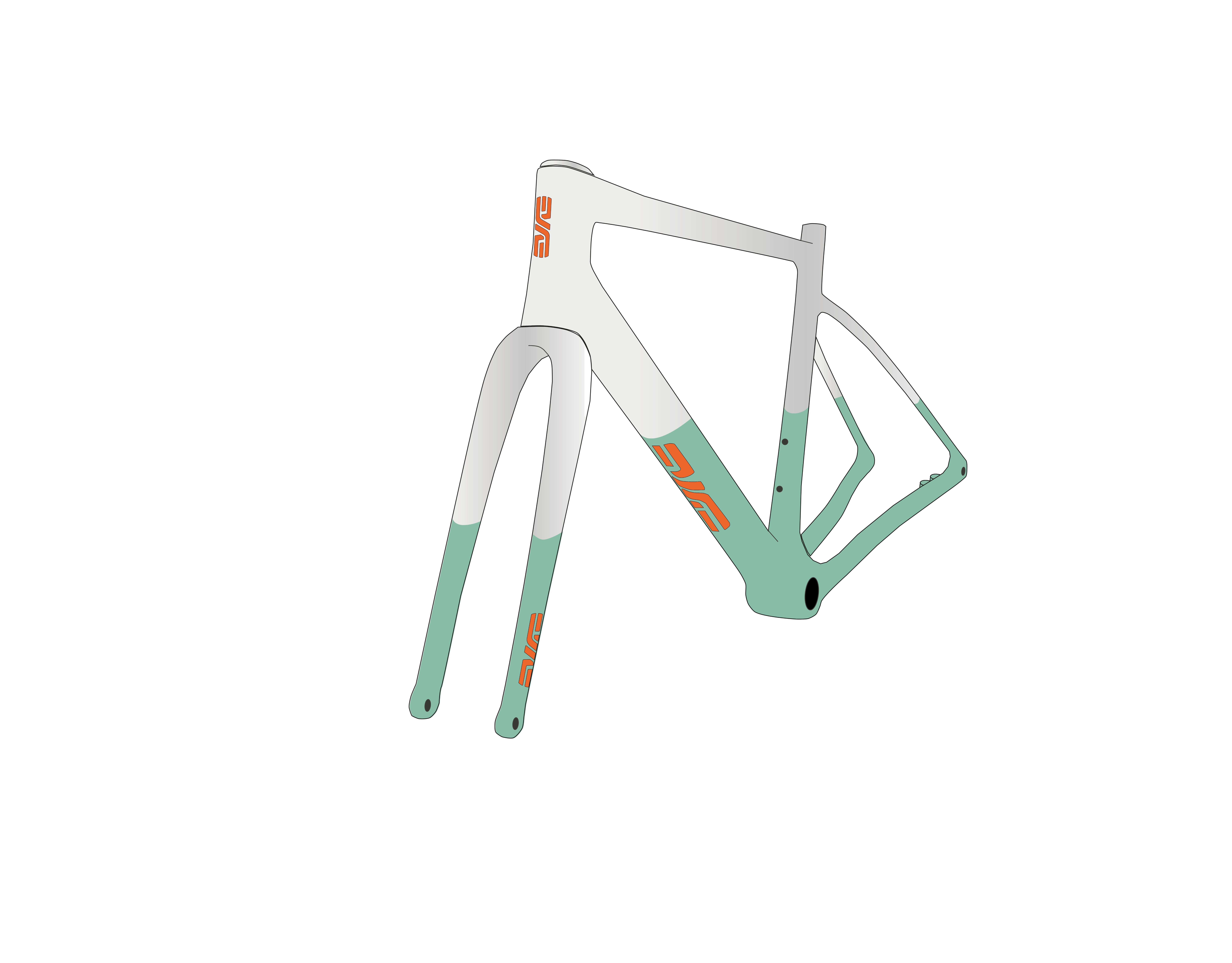 Tipo 2 — bicolor